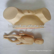 Newly Advanced Difficult Childbirth Simulator medical delivery model